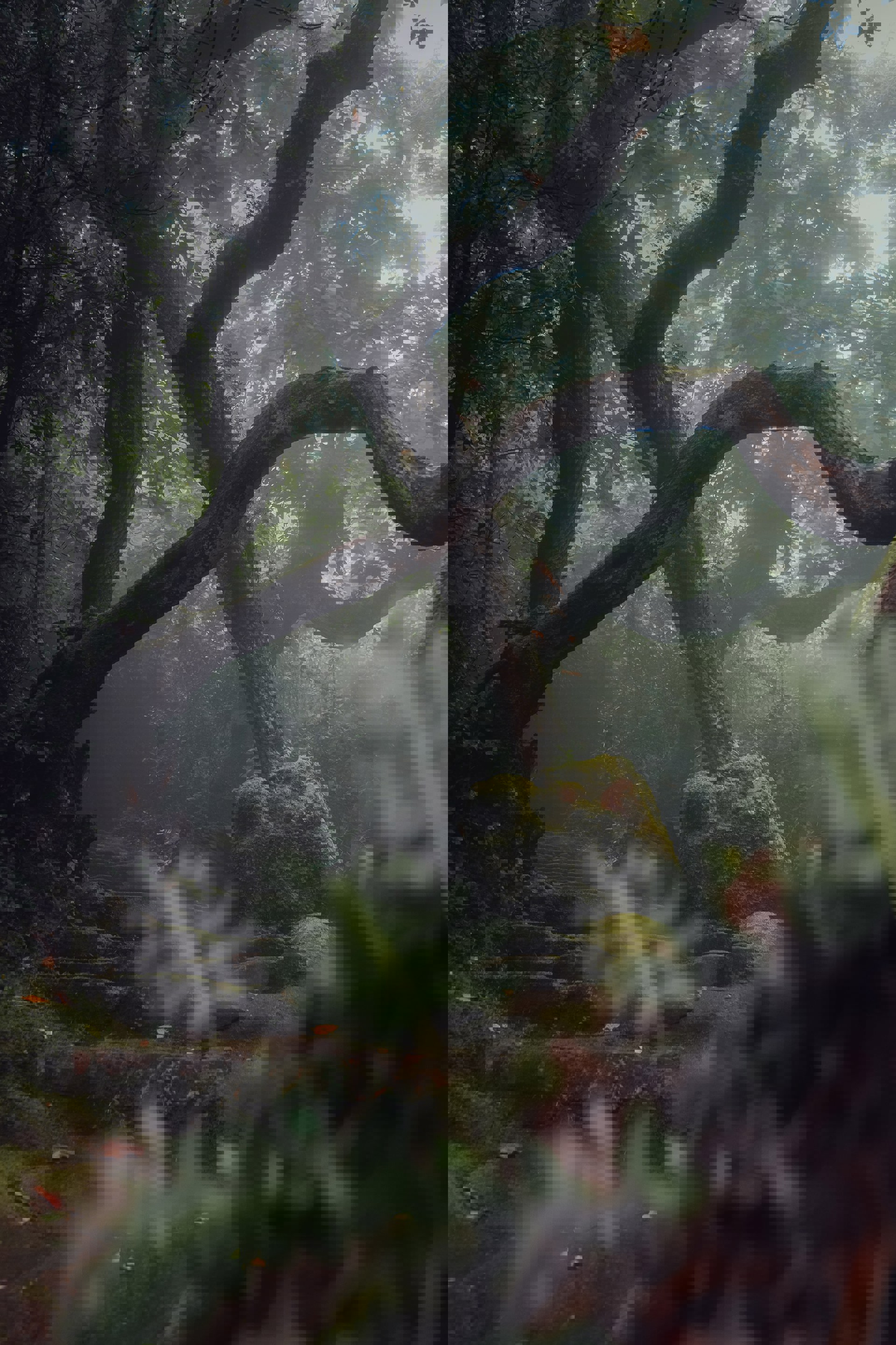 Tiago Alexandre Lopes 5Vdftgpwv2g Unsplash